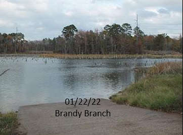 01/22/22 - Brandy Branch