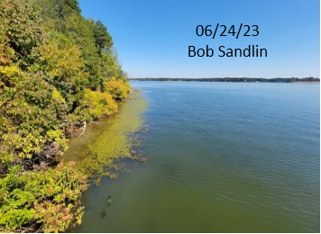 06/24/23 - Bob Sandlin