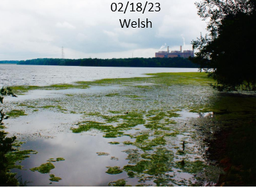 02/18/23 - Welsh